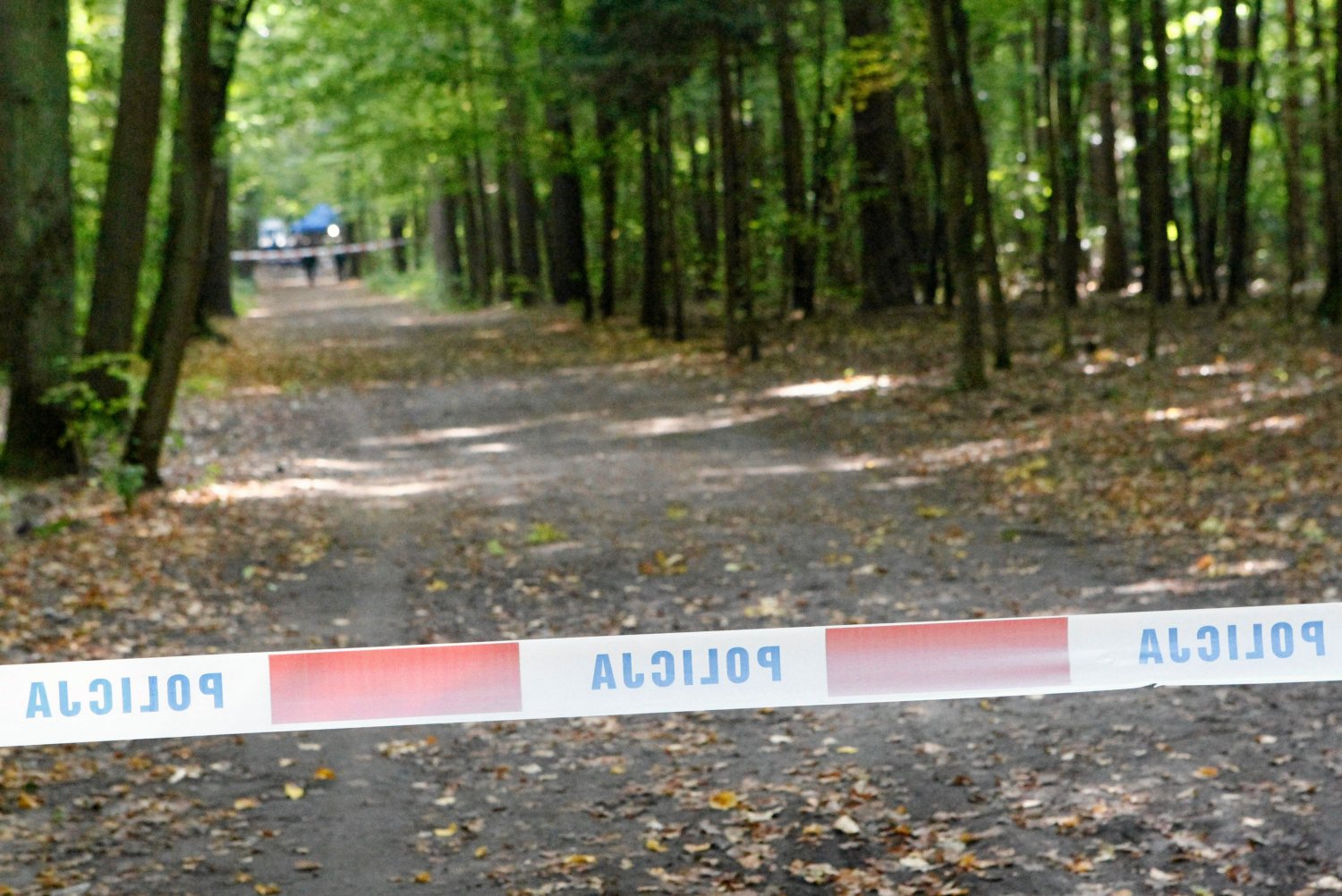 Ciało zawinięte w dywan w lesie w Aninie. Podejrzani chcieli uciec z kraju.