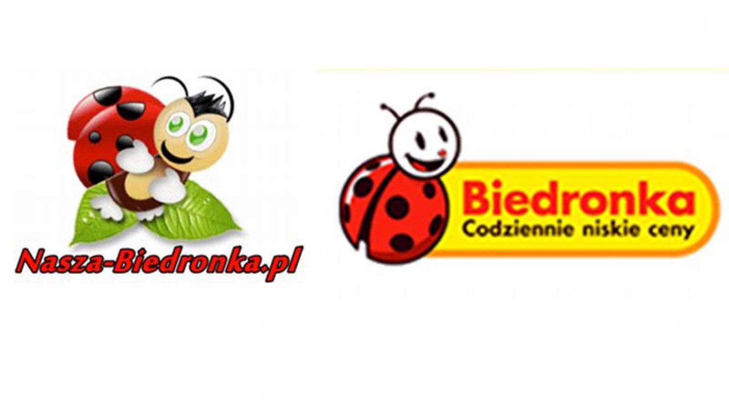 Dotarliśmy do forum internetowego pracowników Biedronki