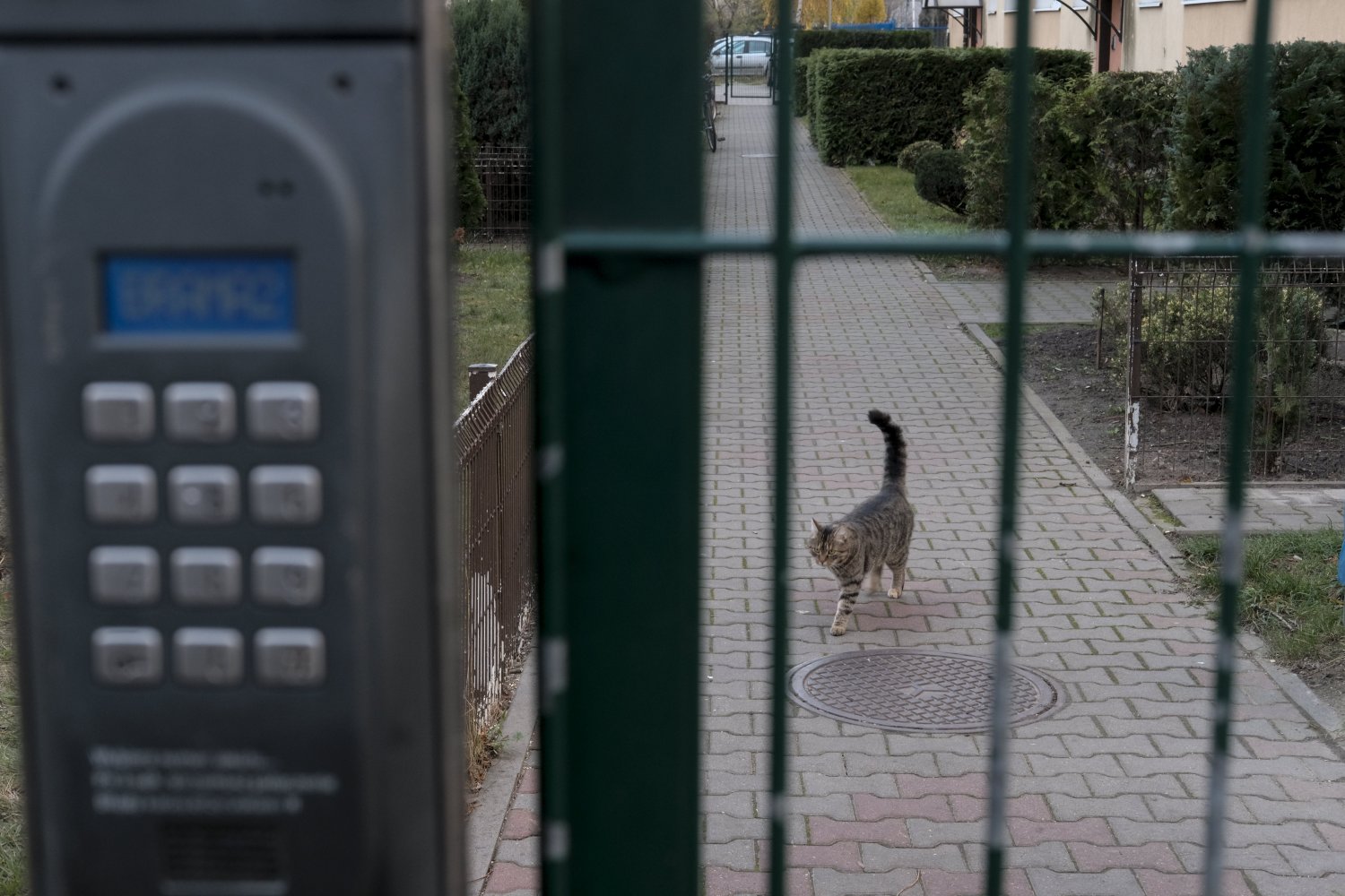 Przełomowa zmiana w popularnym świadczeniu ZUS. Kontrolerzy mogą zapukać do naszych drzwi