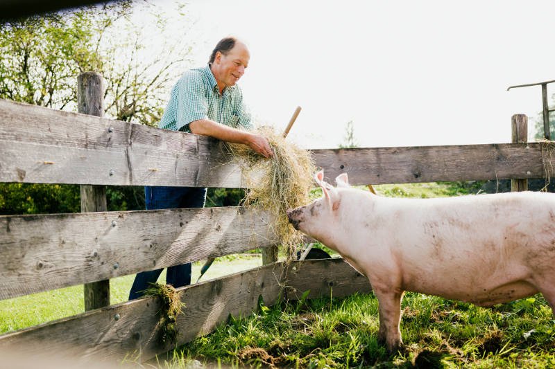 Slow food w austriackiej dolinie Gailtal, krainie zdrowia i dobrego smaku.