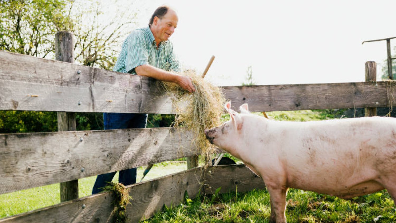 Slow food w austriackiej dolinie Gailtal, krainie zdrowia i dobrego smaku.