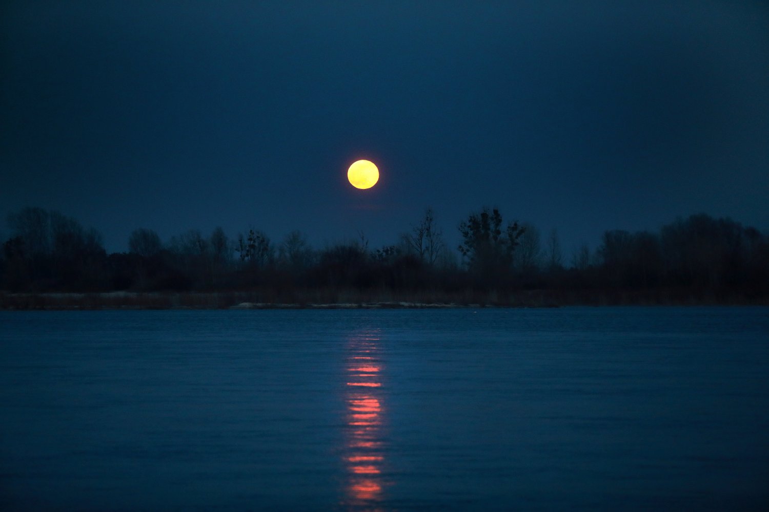 W nocy z 7 na 8 kwietnia warto patrzeć w niebo