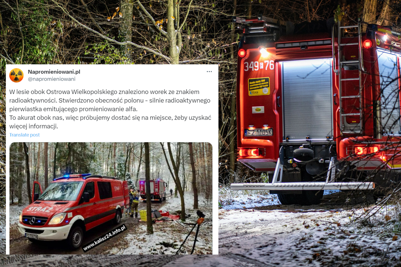 Worek z radioaktywnym polonem wykopany w lesie? Interweniowały służby