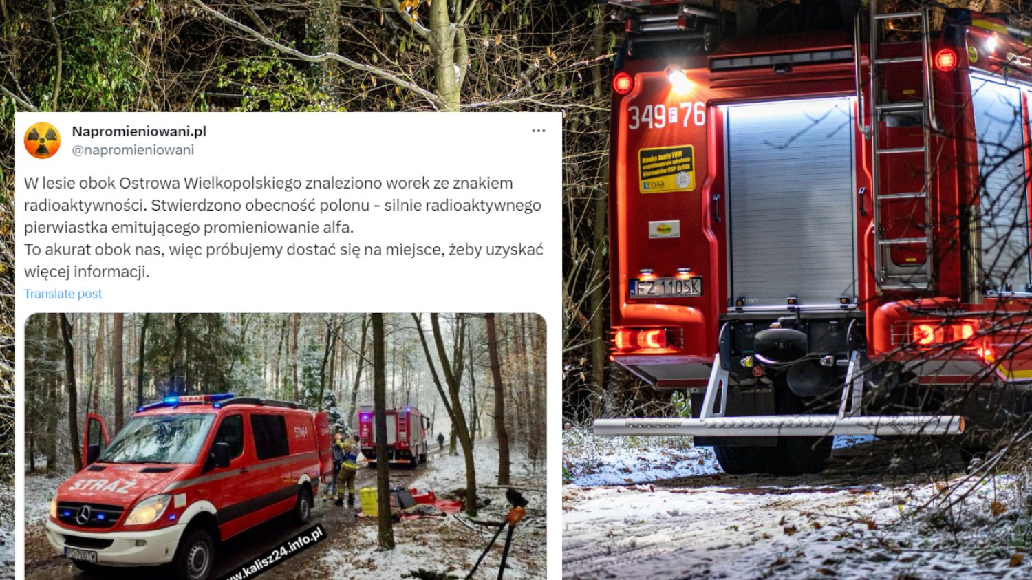 Worek z radioaktywnym polonem wykopany w lesie? Interweniowały służby