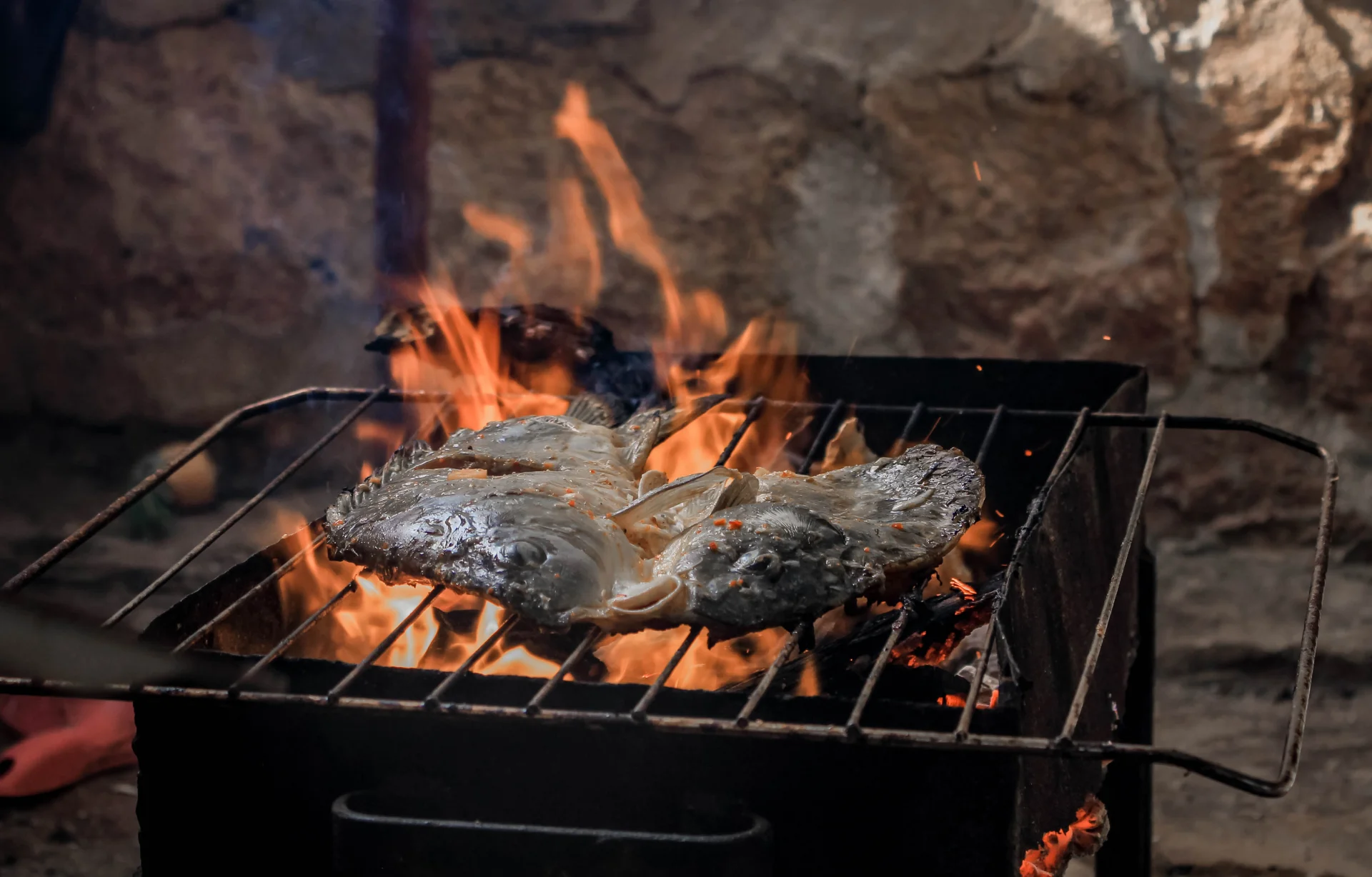 Grillowana ryba Grillowana ryba