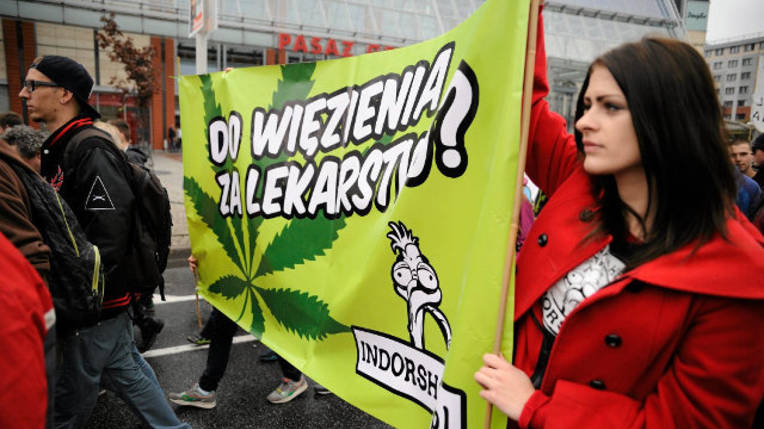 W Polsce mają powstać plantacje marihuany, planowana jest też produkcja lekarstw na bazie tej rośliny.