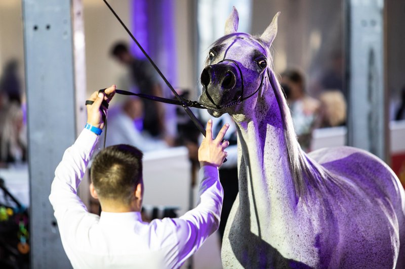 Do zdarzenia doszło w Janowie Podlaskim.