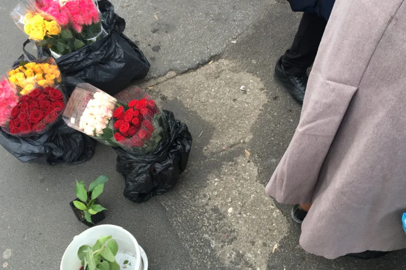 Danusia sprzedaje żywe kwiaty.
