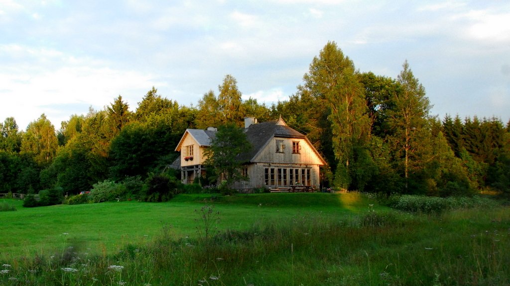 Siedlisko Klangor wiosną.