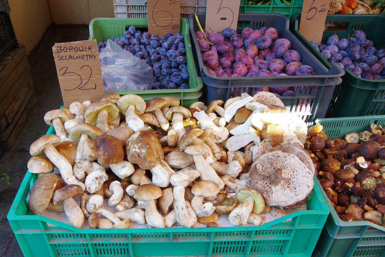 W Polsce obowiązuje zakaz sprzedaży grzybów poza targowiskami i bazarami.