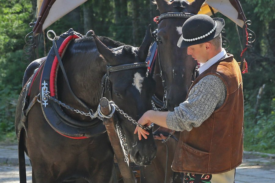 Konie mają wolne i nie jeżdżą nad Morskie Oko. Dlaczego tylko w Boże Ciało?