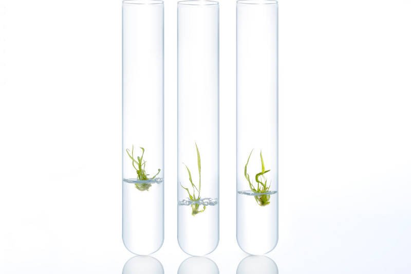 Co jeszcze można włożyć do słoiczka z kremem czy fiolki serum? Retinol, kwas hialuronowy i witamina C to przeżytek. Pora na EGF