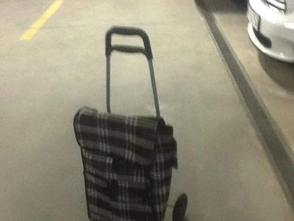 Torba, o której toczy się spór.
