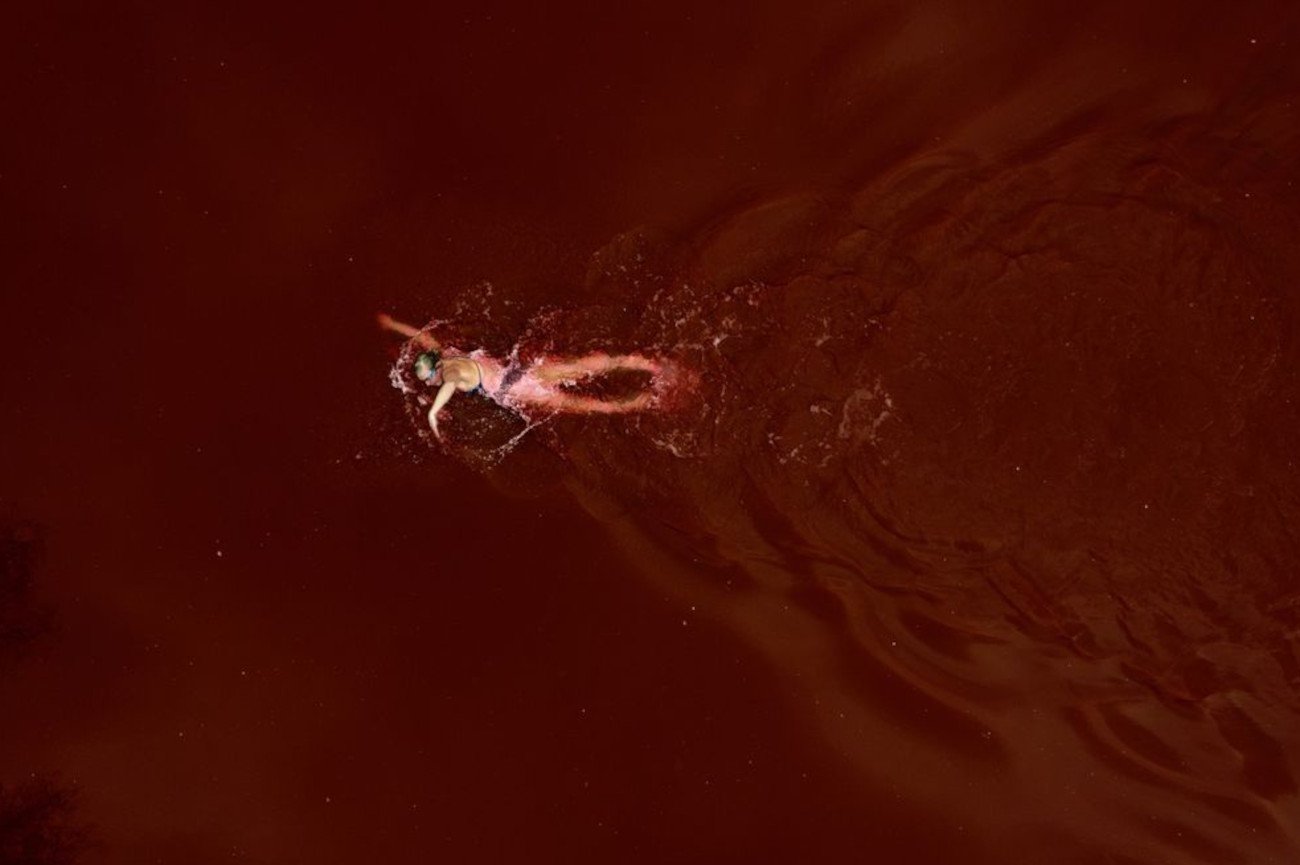 Ruta Meliutyte, mistrzyni olimpijska z IO w Londynie (2012) przepływająca przez staw przy ambasadzie Rosji w Wilnie.