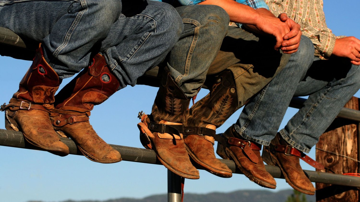Dobrze noszone buty zdobią wranglers na rodeo w małych hrabstwa. Słowo wrangler w Stanach Zjednoczonych oznacza kowboja, człowieka zajmującego się końmi.