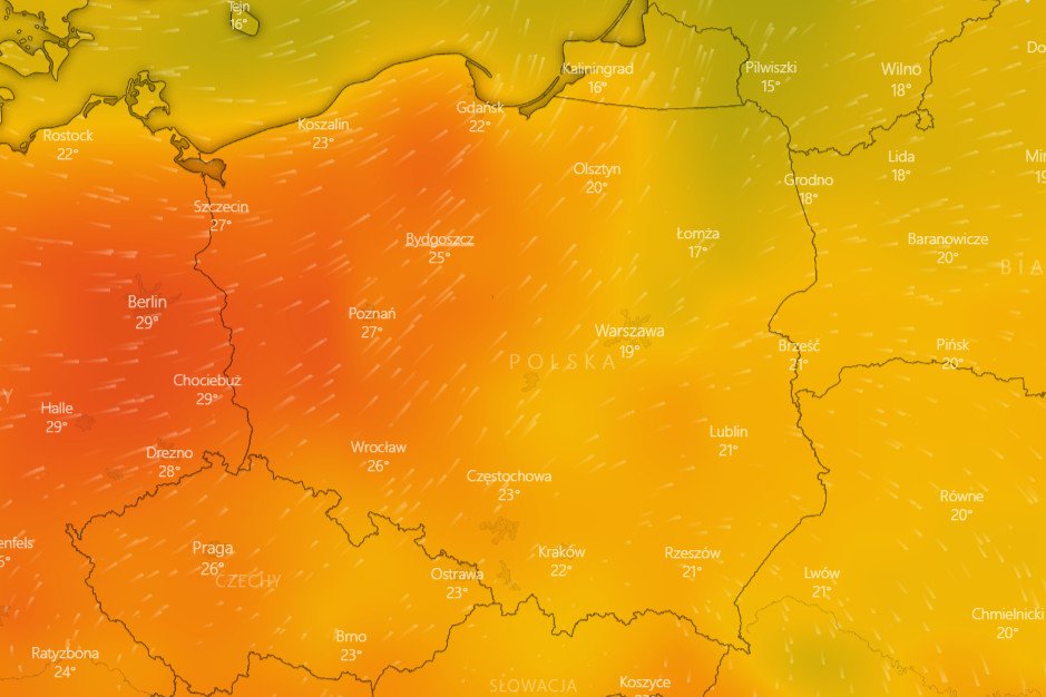 Fala upałów w Polsce. Mogą pojawić się rekordowe temperatury. IMGW wydał ostrzeżenia.