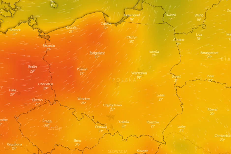 Fala upałów w Polsce. Mogą pojawić się rekordowe temperatury. IMGW wydał ostrzeżenia.