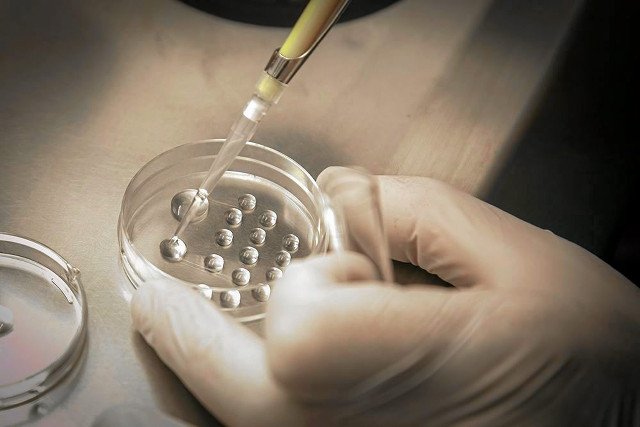 Czy zapłodnienie metodą in vitro powinno być ograniczone wiekowo?