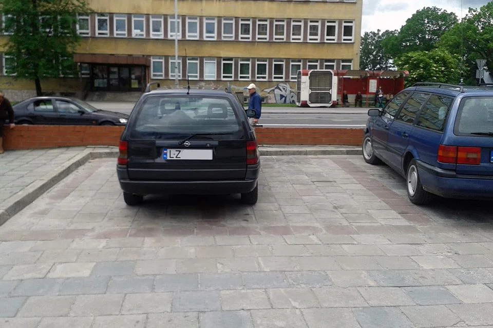 Zwyczajny burak parkingowy