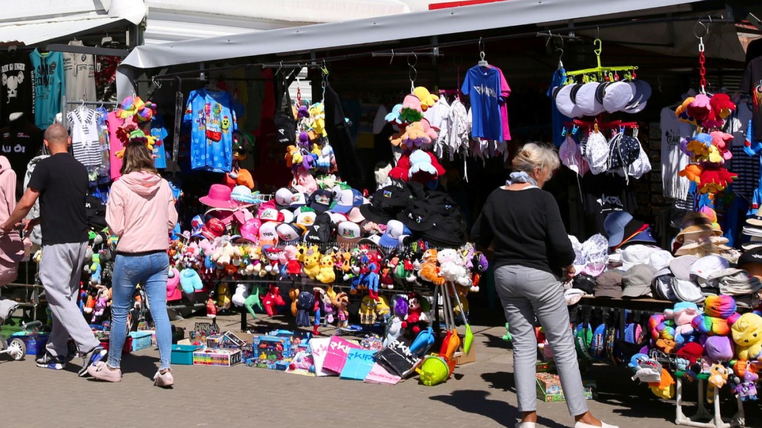Maskotki hitem wakacji nad Bałtykiem Nowe maskotki będą hitem wakacji nad Bałtykiem