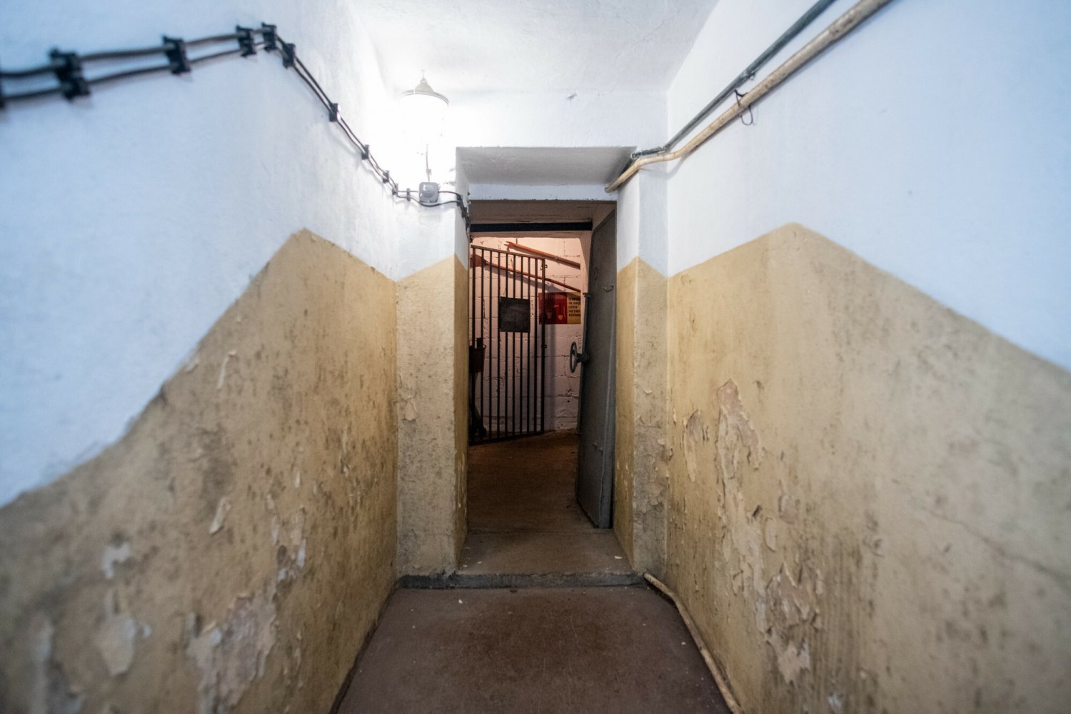 Zdjęcie jest ilustracją do tekstu.