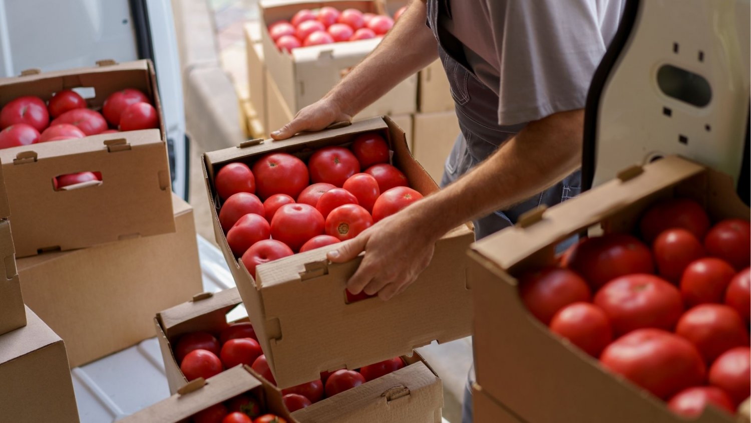 Żywność dla Polaków z pleśnią i żywymi szkodnikami. Zatrważające odkrycia