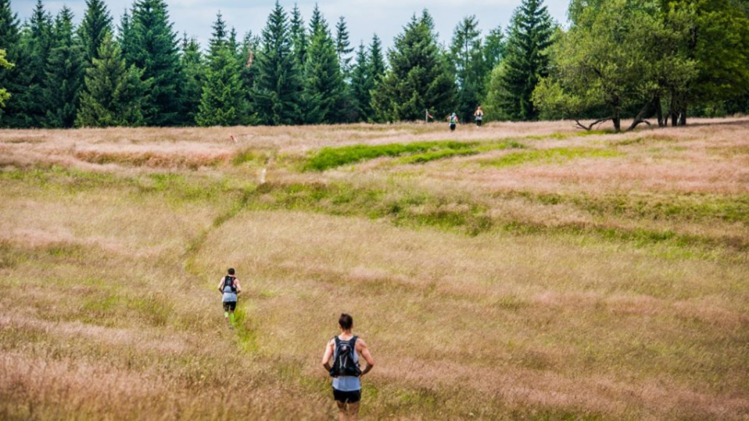 Maraton Gór Stołowych 2014