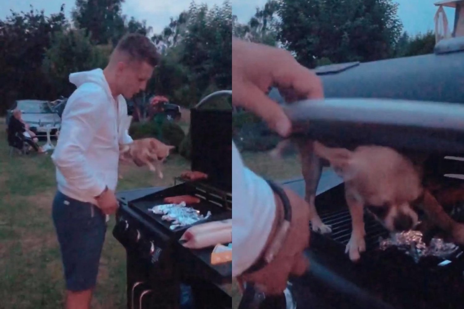 Alan z "Warsaw Shore" położył psa na grillu i próbował go w nim zamknąć. Alan z "Warsaw Shore" położył psa na grillu i próbował go w nim zamknąć.