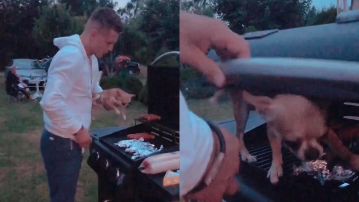 Alan z "Warsaw Shore" położył psa na grillu i próbował go w nim zamknąć. Alan z "Warsaw Shore" położył psa na grillu i próbował go w nim zamknąć.