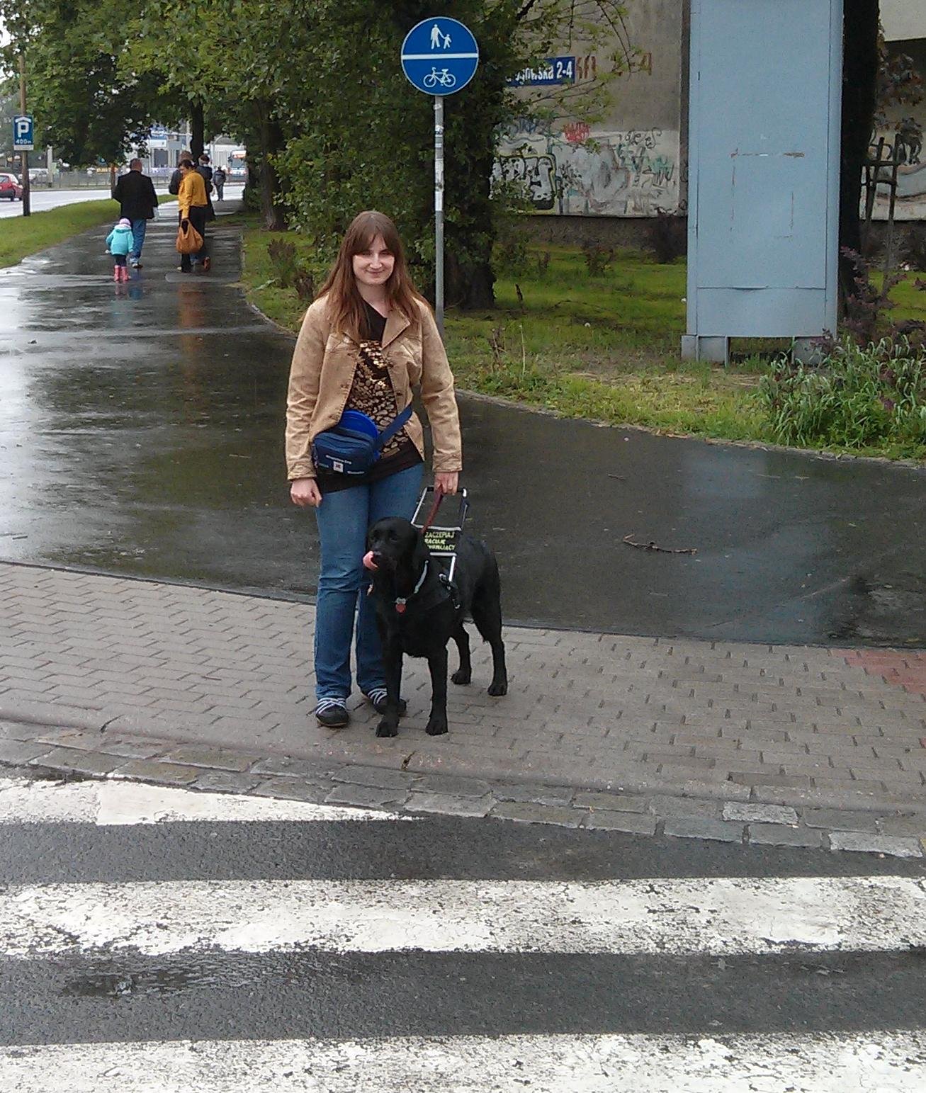 Pies oblizuję się na przejściu