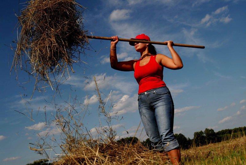 TVP na jesień wyemituje program "Rolnik szuka żony"