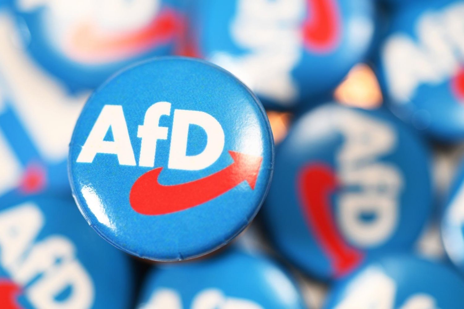 AfD u władzy? Co piąty respondent wyjechałby z Niemiec