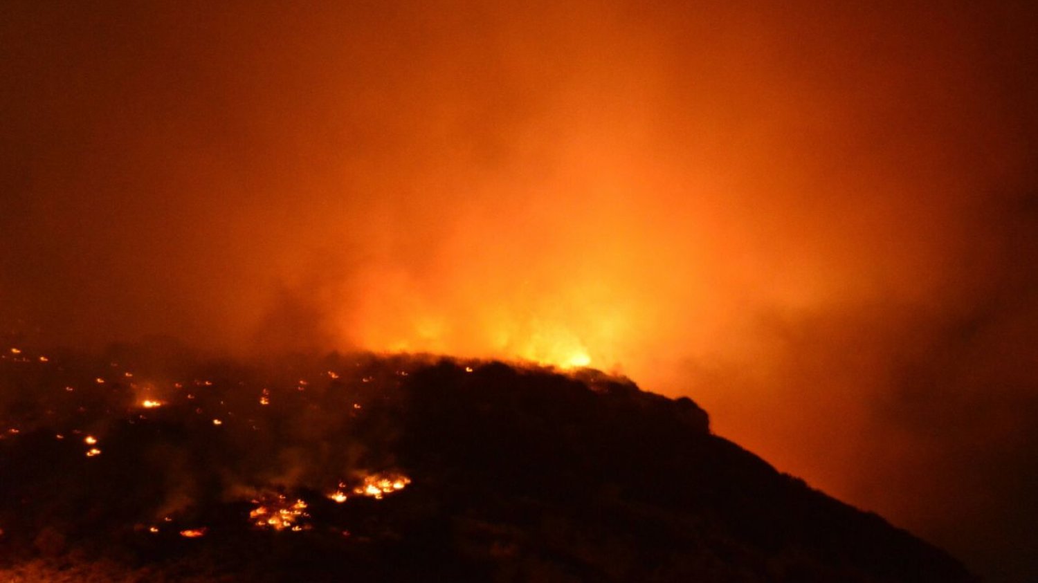 Pożar na greckiej wyspie Eubea