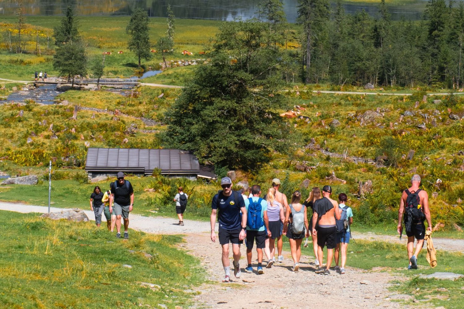 Wakacje w Alpach w podobnej cenie co Zakopane. A na miejscu warunki o niebo lepsze Alpy tańsze od Zakopanego? Wiele można oszczędzić np. na noclegu