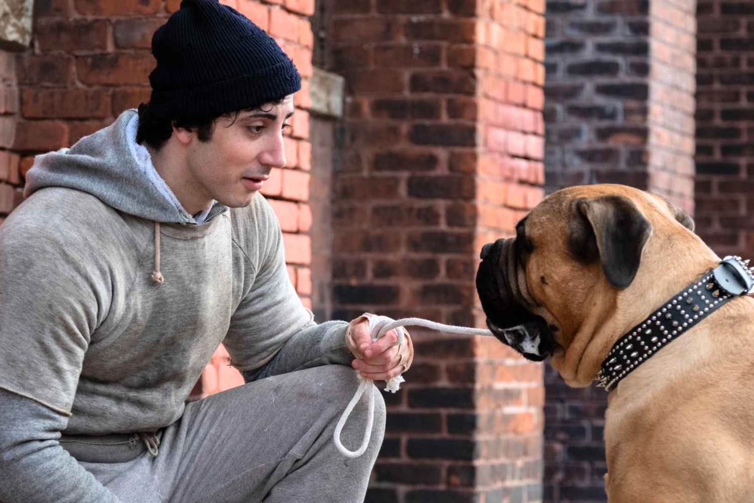 Anthony Ippolito w filmie "Jestem Rocky"
