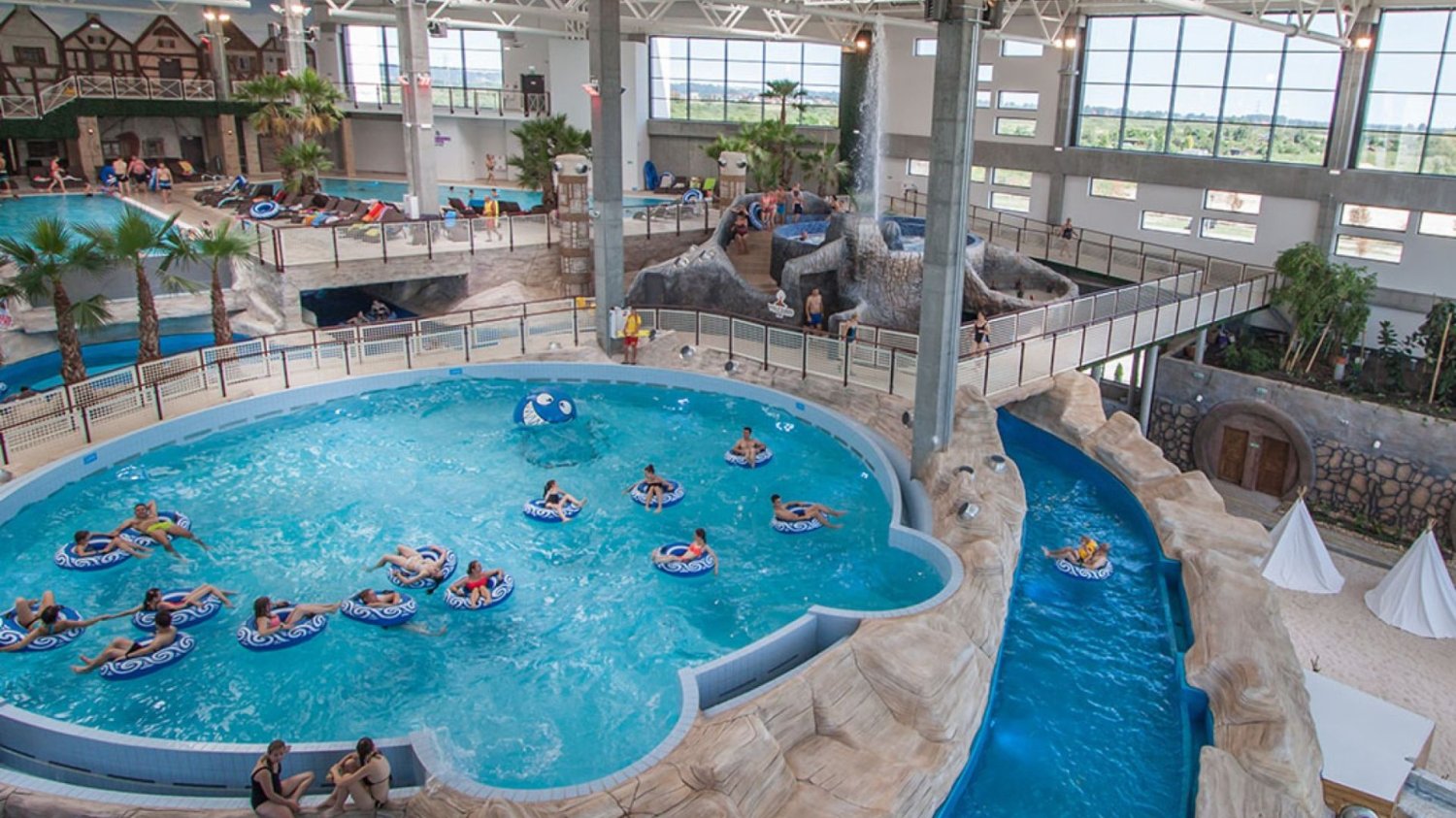 Rekiny z Redy nie żyją Aquapark Reda stracił rekiny