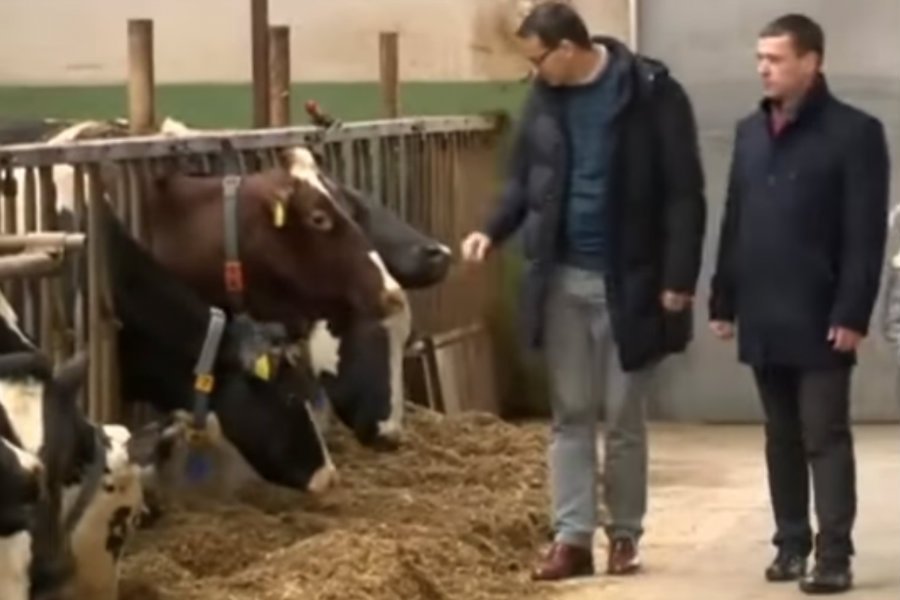 Mateusz Morawiecki w Pęgowie pod Obornikami Śląskimi.