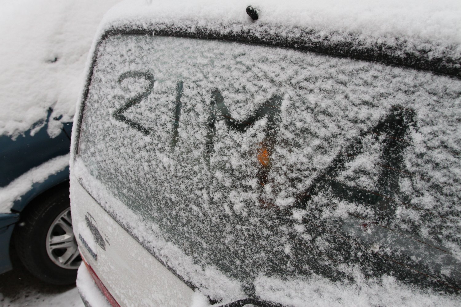 Fot. Wojciech Kardas / Agencja Gazeta