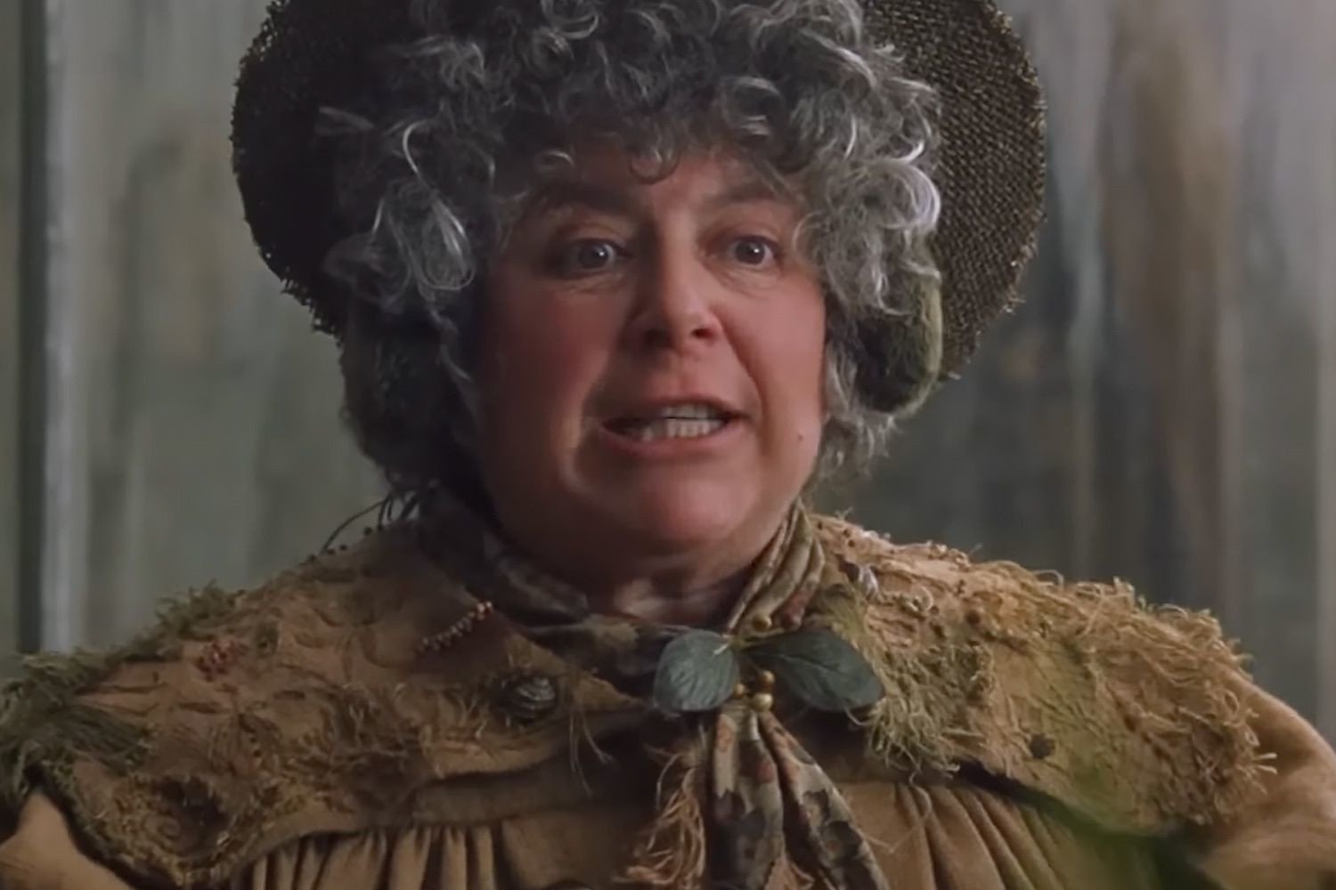 profesor Sprout Harry Potter Miriam Margolyes