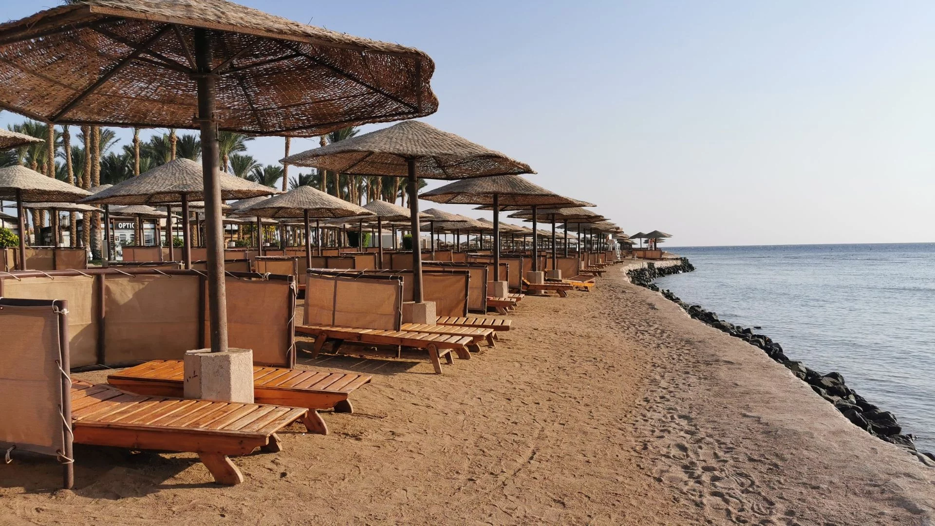 Rekin na plaży w Egipcie. I to w kurorcie all inclusive wybieranym przez Polaków