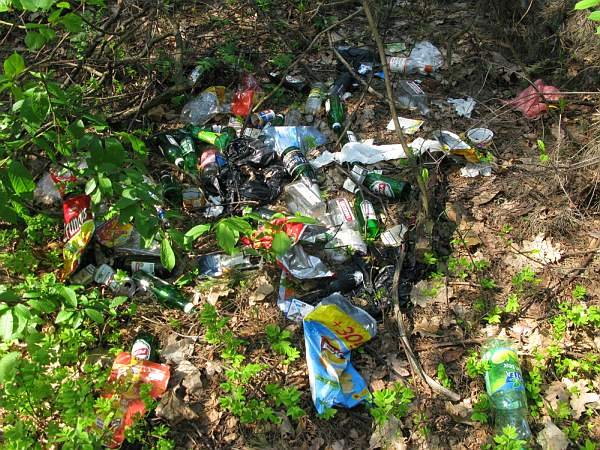 Miejsc, które powinny zostać skutecznie posprzątane nie brakuje - nawet w parkach narodowych