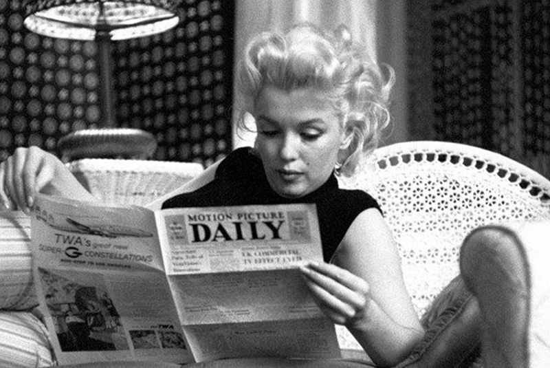 Kociak podczas lektury