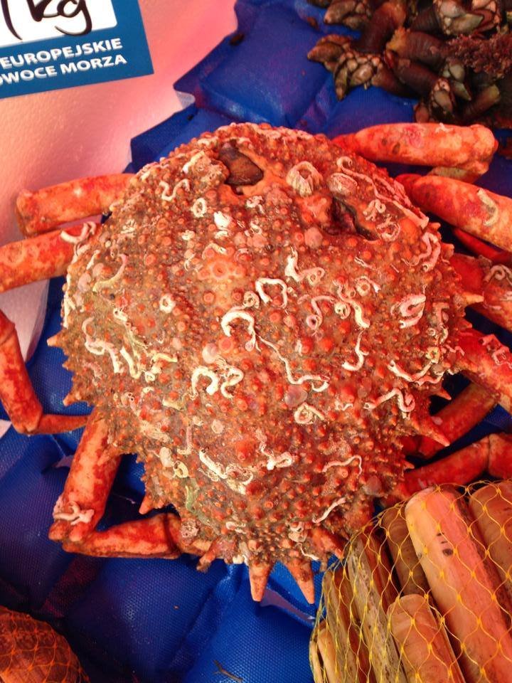 Niektóre z naszych owoców morza na Targu Śniadaniowym