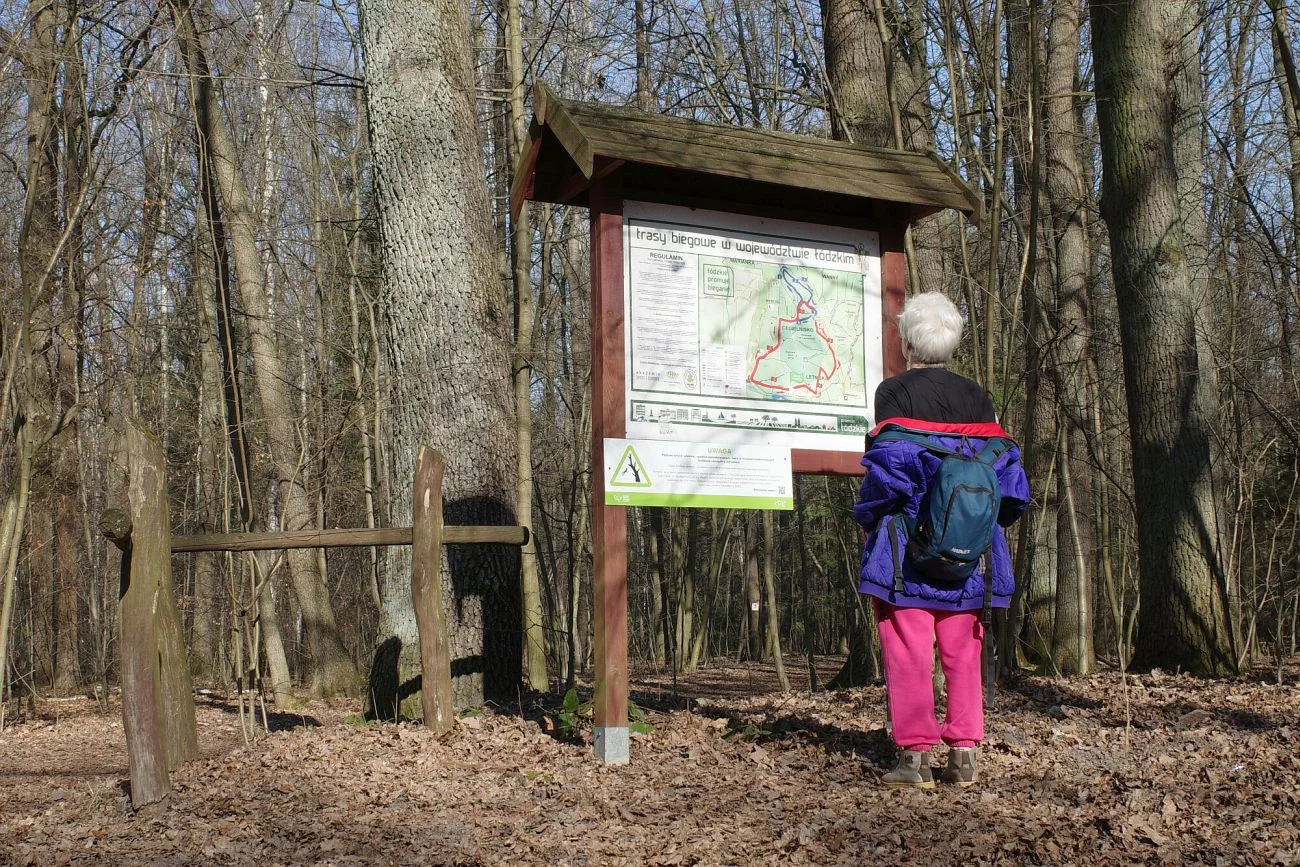 W przyszły weekend wybierz się na spacer, pogoda będzie doskonała
