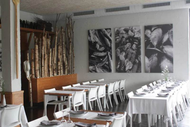 Bistro w winnicy