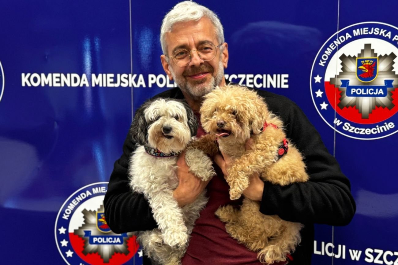 Porwane psy odnaleziono w Szczecinie. Sprawcy chcieli miliona franków.