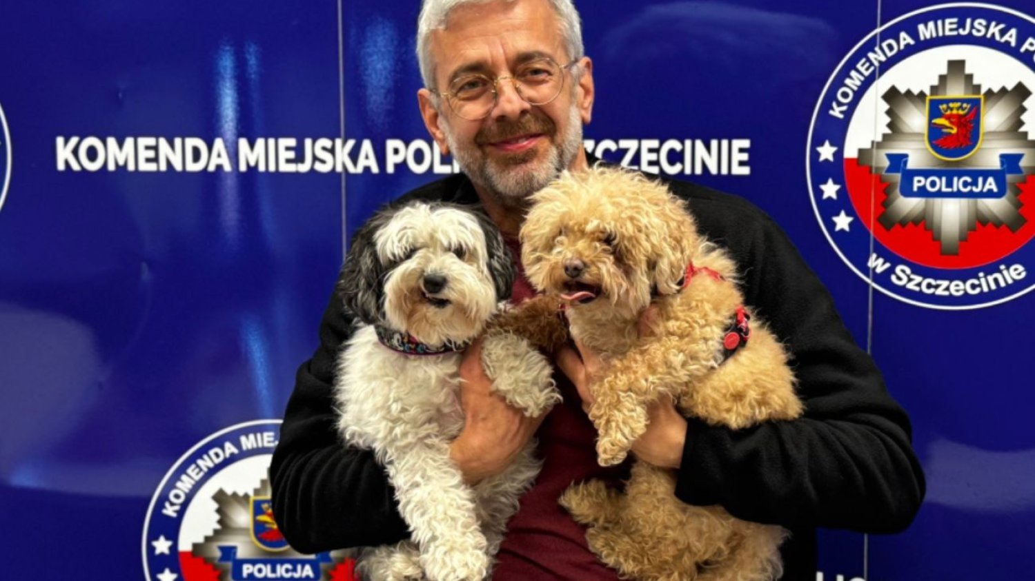 Porwane psy odnaleziono w Szczecinie. Sprawcy chcieli miliona franków.