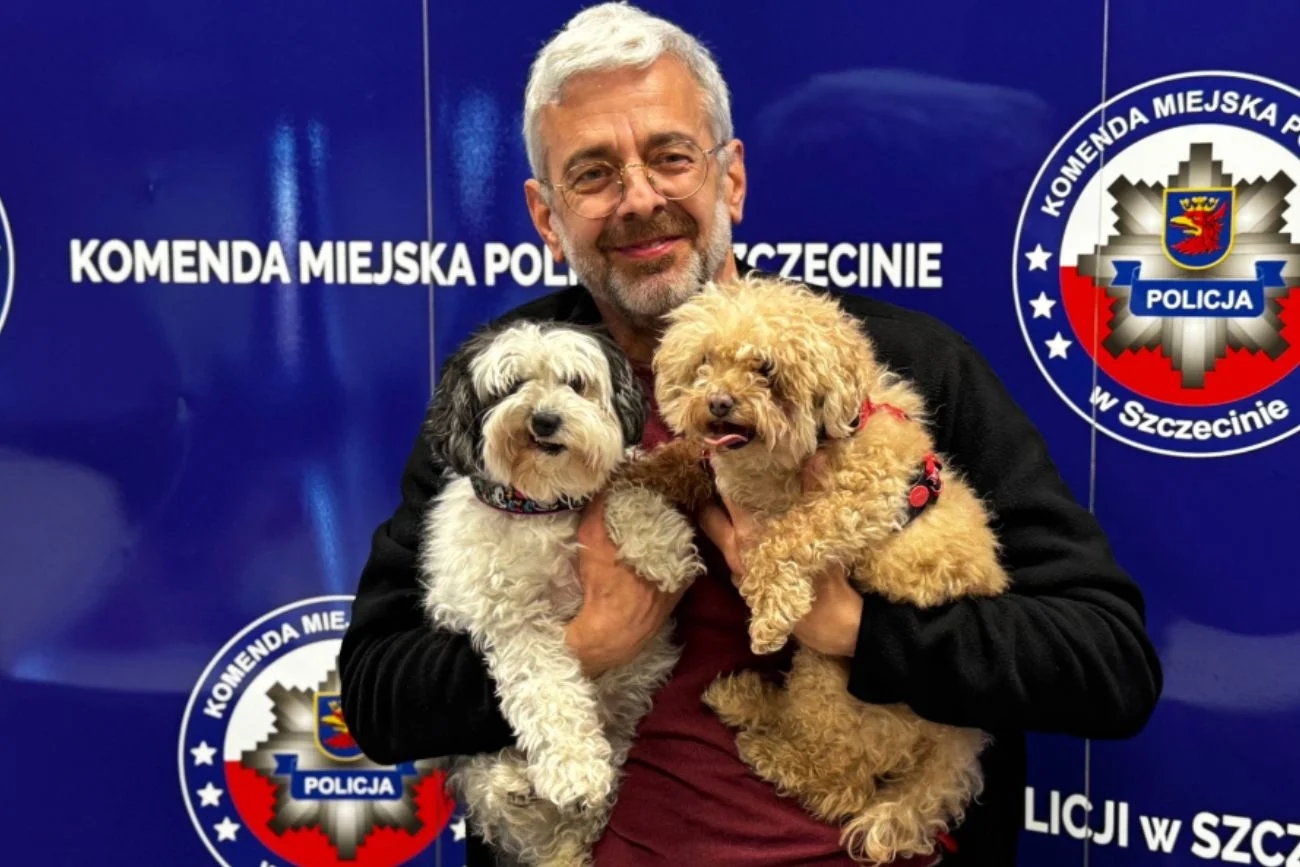 Porwane psy odnaleziono w Szczecinie. Sprawcy chcieli miliona franków.