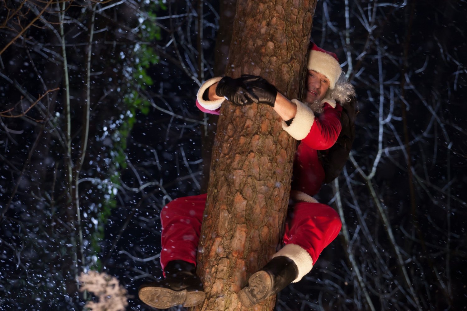 Co obejrzeć w święta w telewizji? [LISTA]