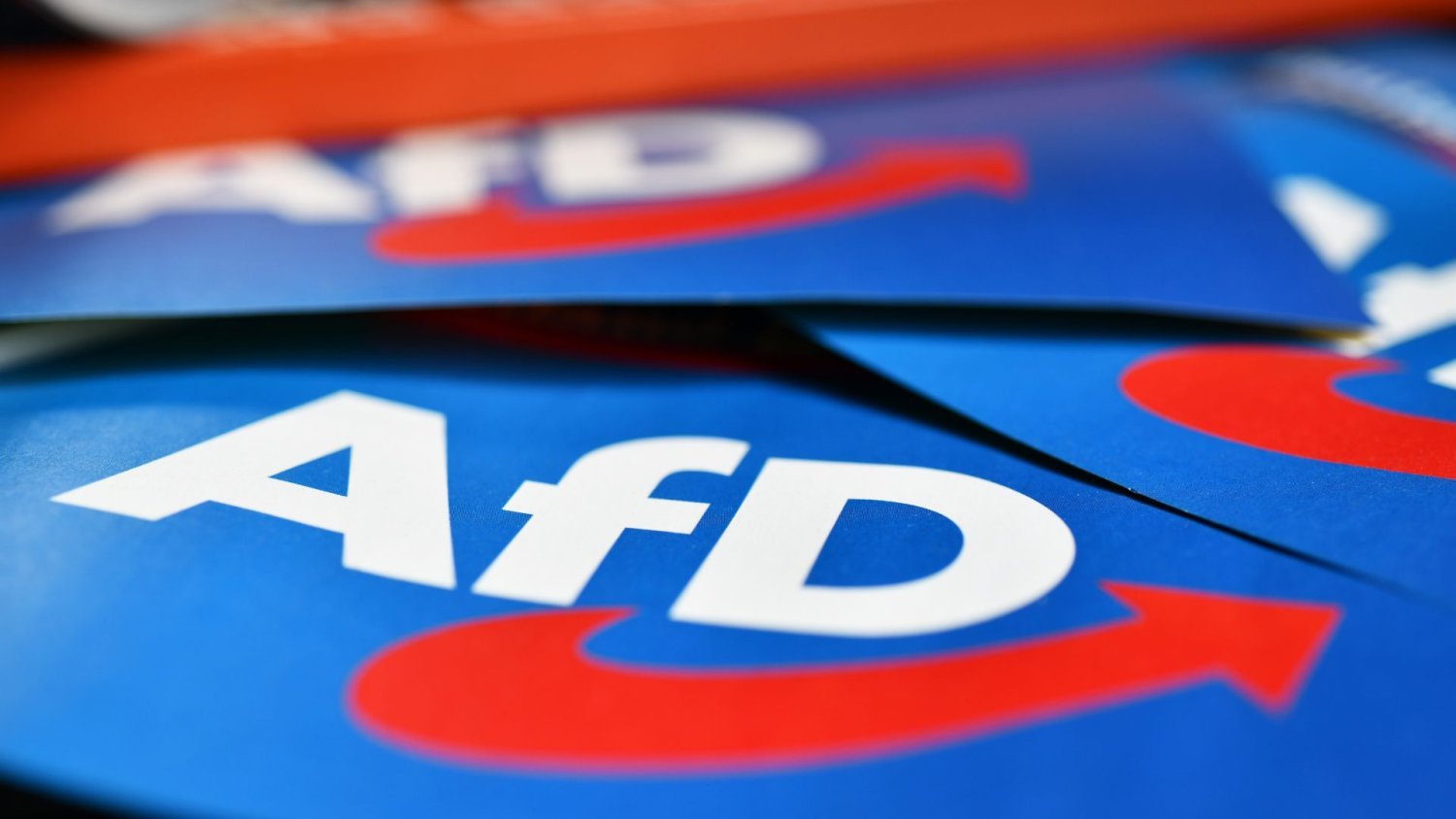 AfD wygrywa w sądzie. Nie można ich nazywać skrajnie prawicową partią